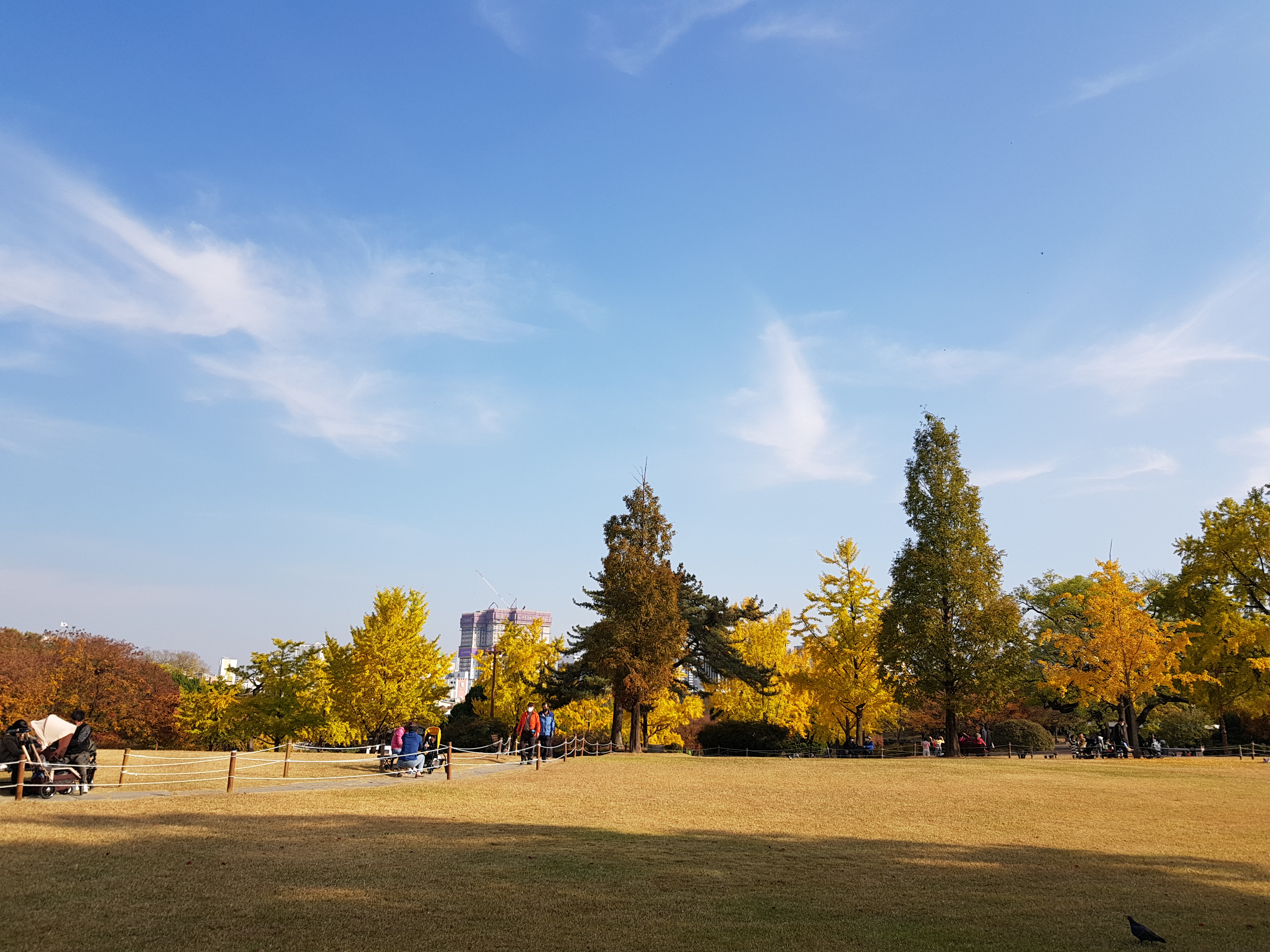 清晨无人的静谧城墙步道，最适合慢拍古垣细节。