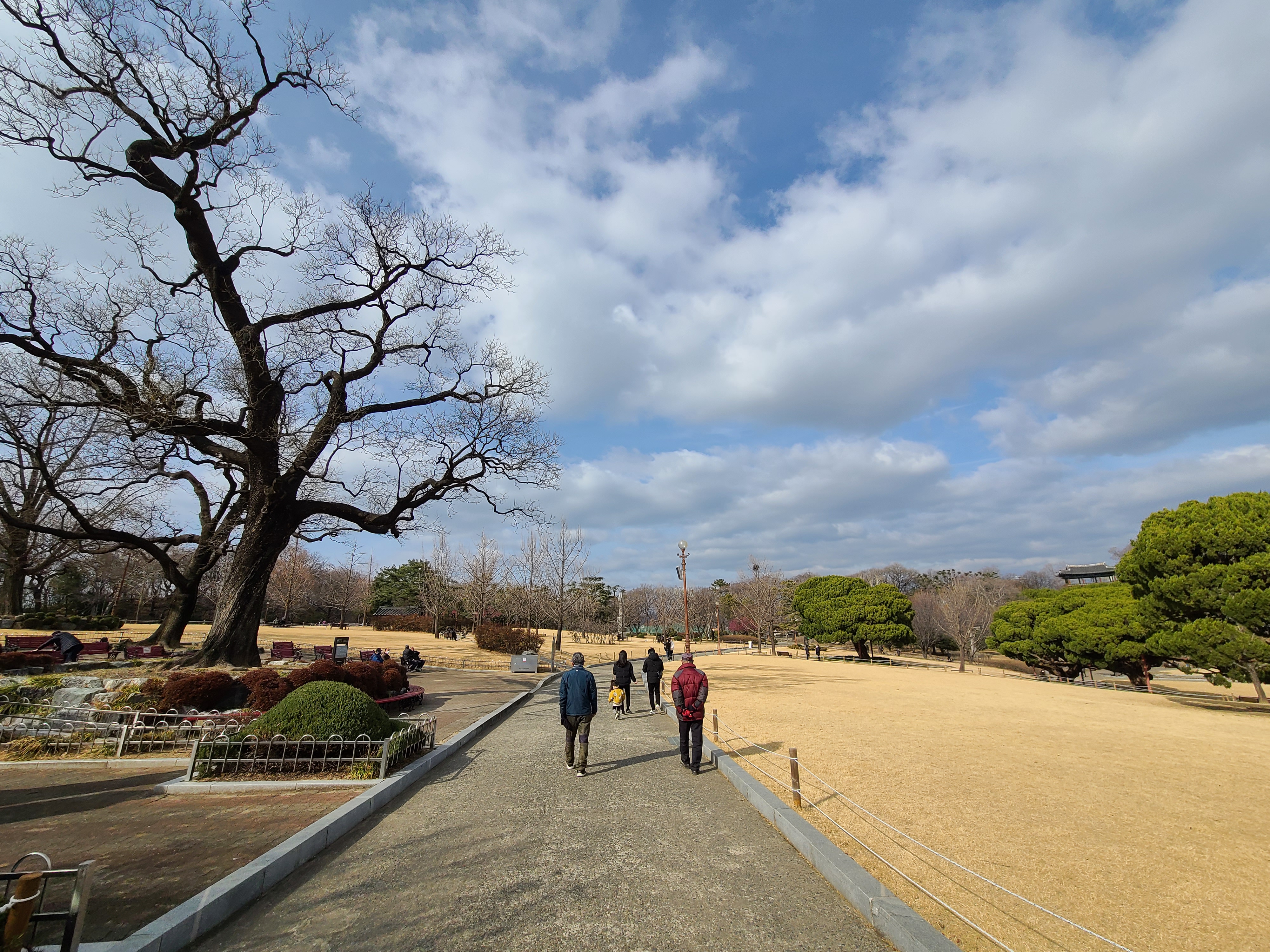 达城公园（Dalseong Park · 달성공원）